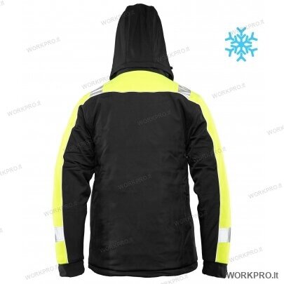 Striukė SEVEN KINGS RIVAL WINTER SOFTSHELL 3